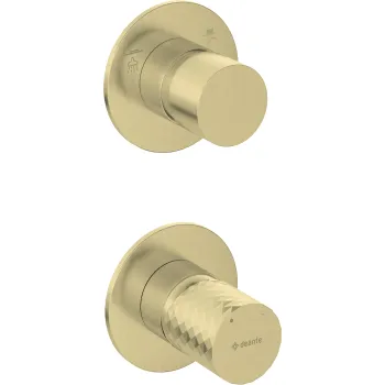 Dušas maisītājs Deante Silia Hexa iebūvējams, dušas galvai un rokas dušai, Matēts Zelts BHS_R44P