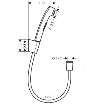 Hansgrohe Bidette higiēniskā rokas duša ar hromētu dušas šļūteni 1250mm, 32129000