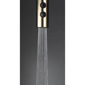 Virtuves izlietnes maisītājs Deante Olfato izvelkams 2 strūklas, matēts zelts BQO_R72M