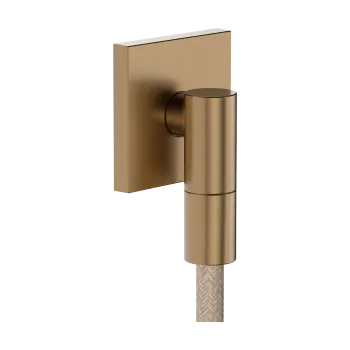 Dušas izvads Hansgrohe FixFit Fine E, birstēta bronza 28883140